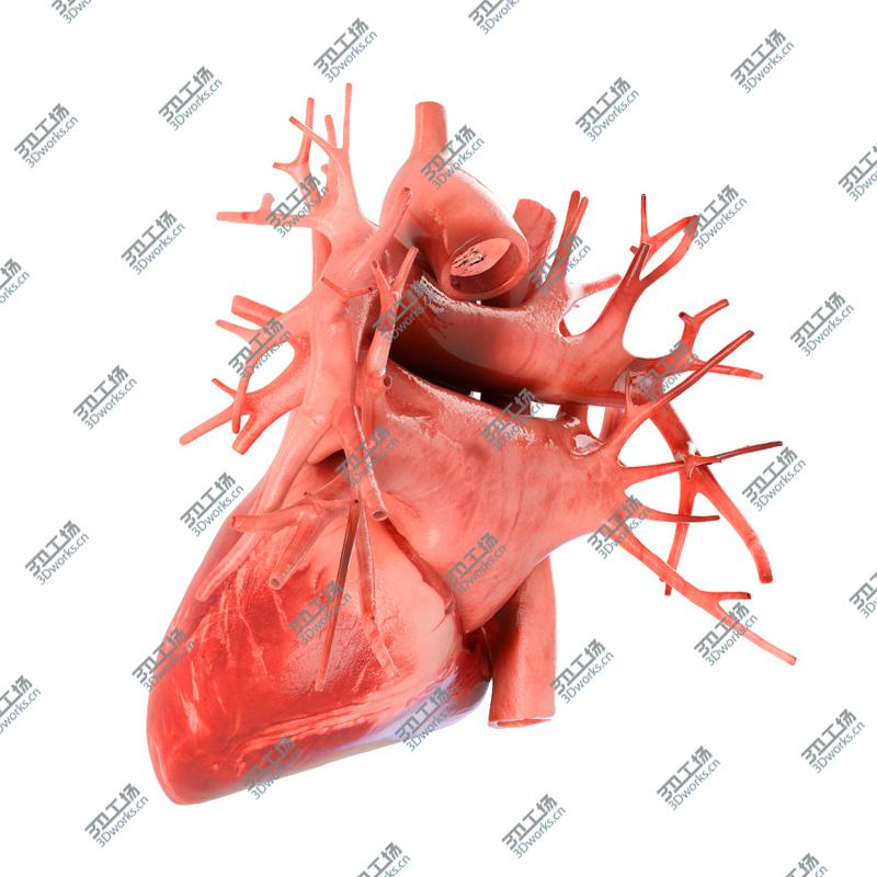 images/goods_img/2021040164/Human heart animated v3. Vray ready materials and scene of human heart/4.jpg
